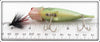 Buckeye Bait Corp Perch Bug N Bass