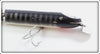 Creek Chub Black Scale Giant Jointed Pikie In Box Bottom 833