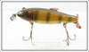 Creek Chub Perch Fintail Shiner In Unmarked Box