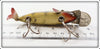 Creek Chub Perch Fintail Shiner In Unmarked Box