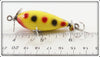 Creek Chub Yellow Spotted Uncatalogued Spinnered Lure