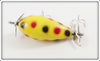 Creek Chub Yellow Spotted Uncatalogued Spinnered Lure