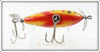 Creek Chub Yellow Spotted Baby Injured Minnow In Box 1614