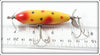 Creek Chub Yellow Spotted Baby Injured Minnow In Box 1614