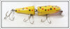 Vintage Creek Chub Yellow Spotted Jointed Snook Pikie 5514 Special