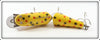 Creek Chub Yellow Spotted Jointed Snook Pikie 5514 Special