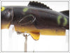 Buckeye Bait Co. Uncatalogued Frog Spot Bug N Bass