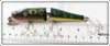 Creek Chub Frog Spot Jointed Pikie 2619