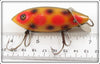 Heddon Yellow With Red & Black Spots Baby Crab Wiggler