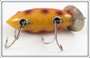 Heddon Yellow With Red & Black Spots Baby Crab Wiggler