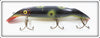 Ed Latiano Frog Spot Swim Whizz Type