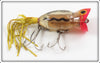 Arbogast Clear Ghost Red Head Black Snake Line 5/8 Ounce Hula Popper In Box