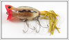 Arbogast Clear Ghost Red Head Black Snake Line 5/8 Ounce Hula Popper In Box