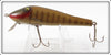 Paw Paw Gold Scale Old Chub Sucker