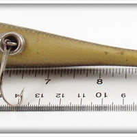 Paw Paw Gold Scale Old Chub Sucker