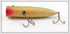 Paw Paw Green With Gold Dots Groove Head Bass Seeker