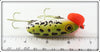 Arbogast Frog Spot Plastic Lip Jitterbug In Unmarked Box Bottom