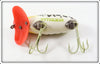 Arbogast Frog Spot Plastic Lip Jitterbug In Unmarked Box Bottom