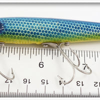 Florida Fishing Tackle Lonn's Sales Blue Scale Dandy Lure In Box