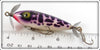 South Bend Purple & White Spotted Coach Dog Pup Spin I Diddee 916 PSP