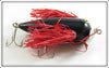 P & V Bait Co Black Red Wings Red Wing Black Bird In Box