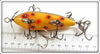 W. H. Hobbs Supply Co Yellow Spotted Bon-Net Minnow In Box