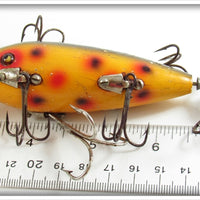 W. H. Hobbs Supply Co Yellow Spotted Bon-Net Minnow In Box