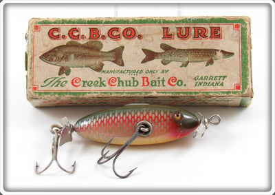 Creek Chub Red Side Baby Flat Side Injured Minnow In End Label Box