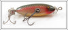 Creek Chub Red Side Baby Flat Side Injured Minnow In End Label Box