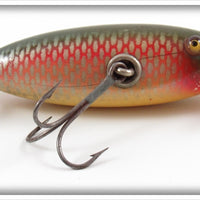 Creek Chub Red Side Baby Flat Side Injured Minnow In End Label Box