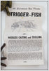 Mittig Mfg Co Orange Spotted Trigger Fish In Box