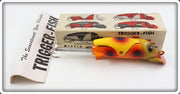 Vintage Mittig Mfg Co Orange Spotted Trigger Fish In Box