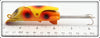 Mittig Mfg Co Orange Spotted Trigger Fish In Box