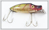 Heddon Perch River Runt In Box 9110 L