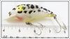 Heddon Coachdog Yellow Scale Belly Big Hedd 9330 CDYS