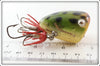Bud Stewart Frog Pad Hopper