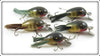 Vintage Creek Chub Dingbat Lot Of Five Lures