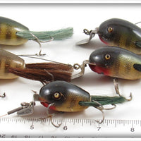 Creek Chub Dingbat Lot Of Five