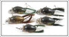 Creek Chub Dingbat Lot Of Five