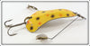 Creek Chub Yellow Spotted Sinful Sal S-24