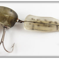 F.S. Burroughs Green Head Tadpole