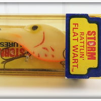 Vintage Storm Pre Rapala Bleeding Bone Rattlin' Flat Wart Lure In Box