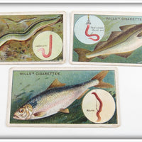 Vintage Eel, Pollace & Shad Wills's Cigarette Card Lot