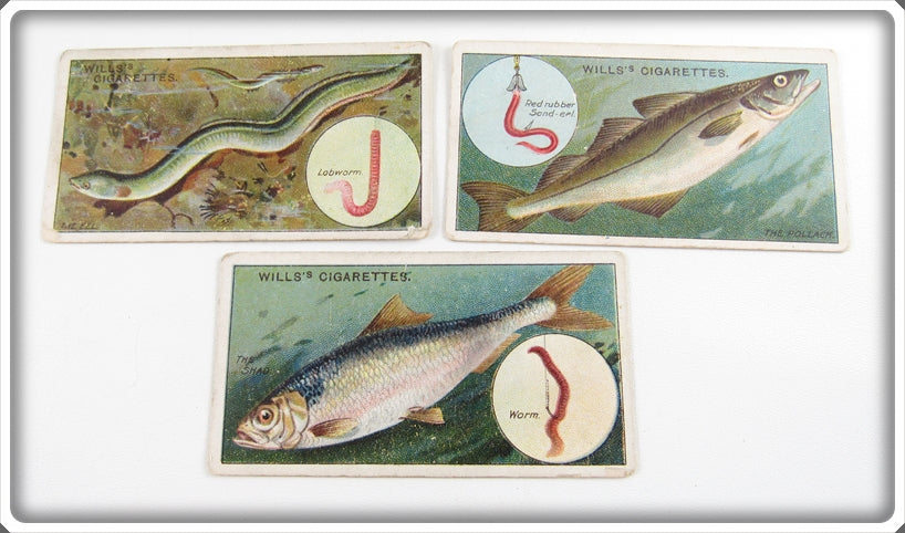 Vintage Eel, Pollace & Shad Wills's Cigarette Card Lot