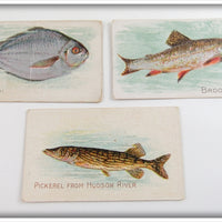 Butterfish, Brook Trout & Pickerel Caporal Cigarette Card Lot