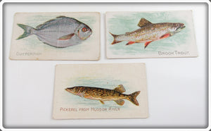 Butterfish, Brook Trout & Pickerel Caporal Cigarette Card Lot