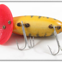 Arbogast Perch Wood Body Plastic Lip Jitterbug In Box