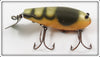 Creek Chub River Peeler Crawdad In Unmarked Box