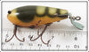 Creek Chub River Peeler Crawdad In Unmarked Box