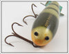 Creek Chub River Peeler Crawdad In Unmarked Box